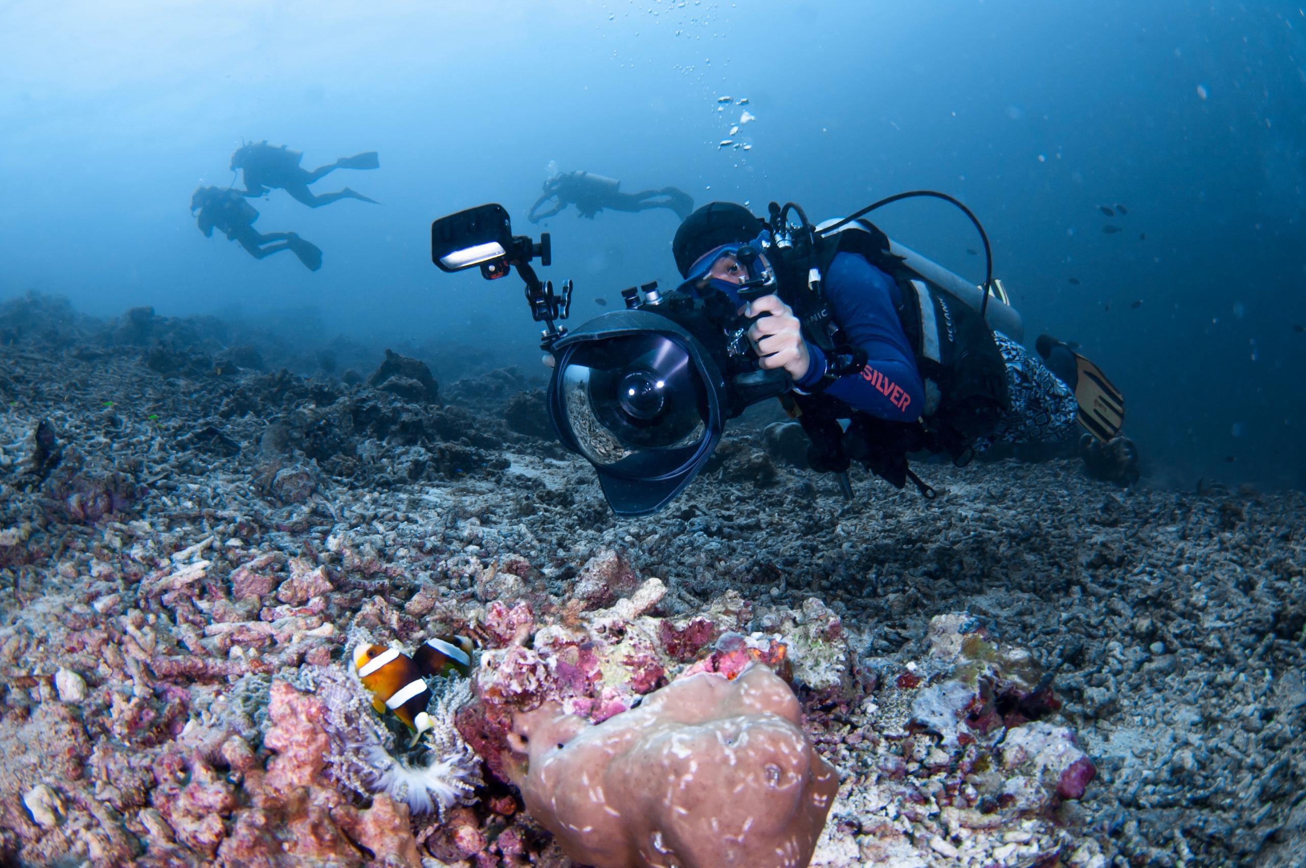 Sipadan Deep Sea Wall