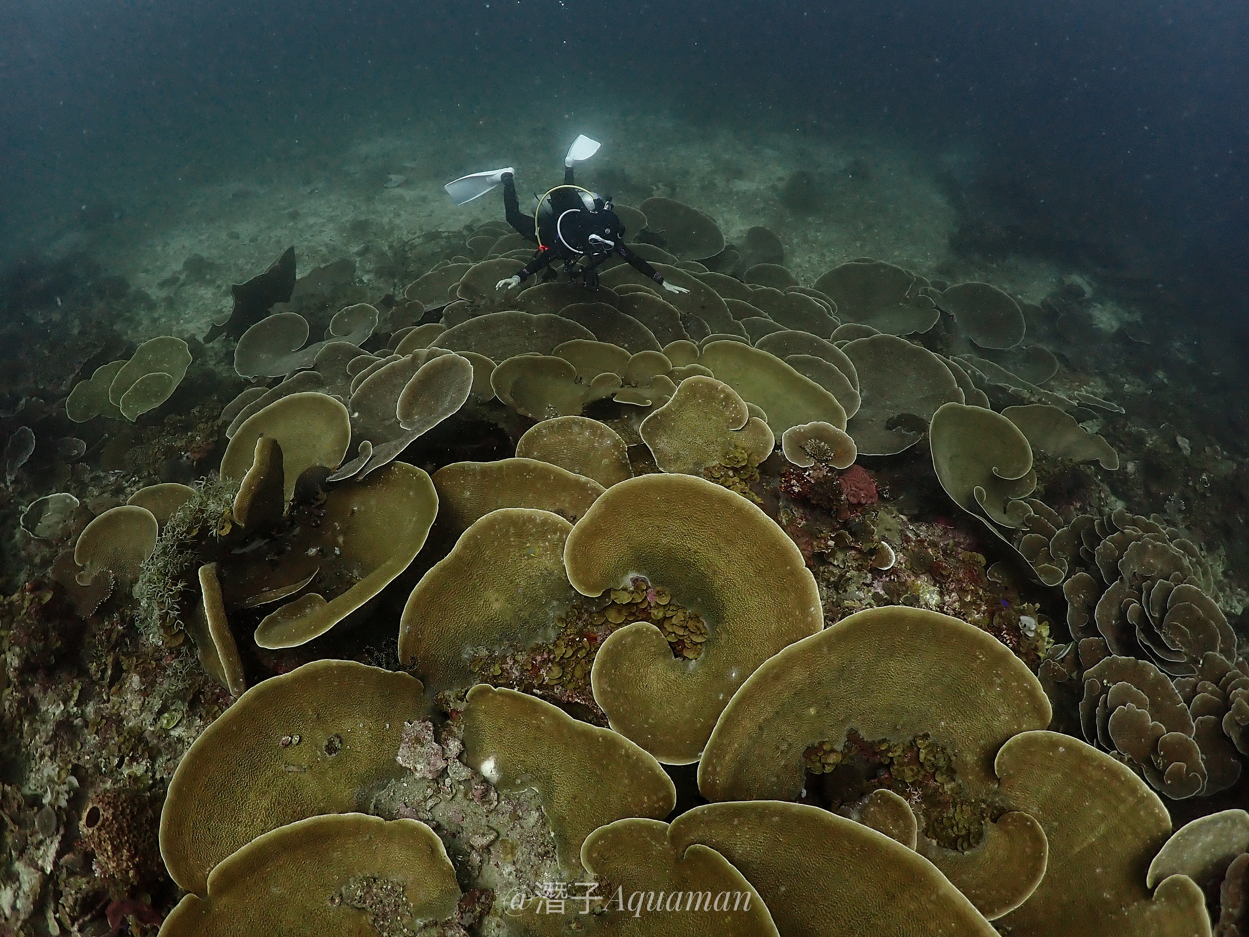 Tabawan Volcanic Reef