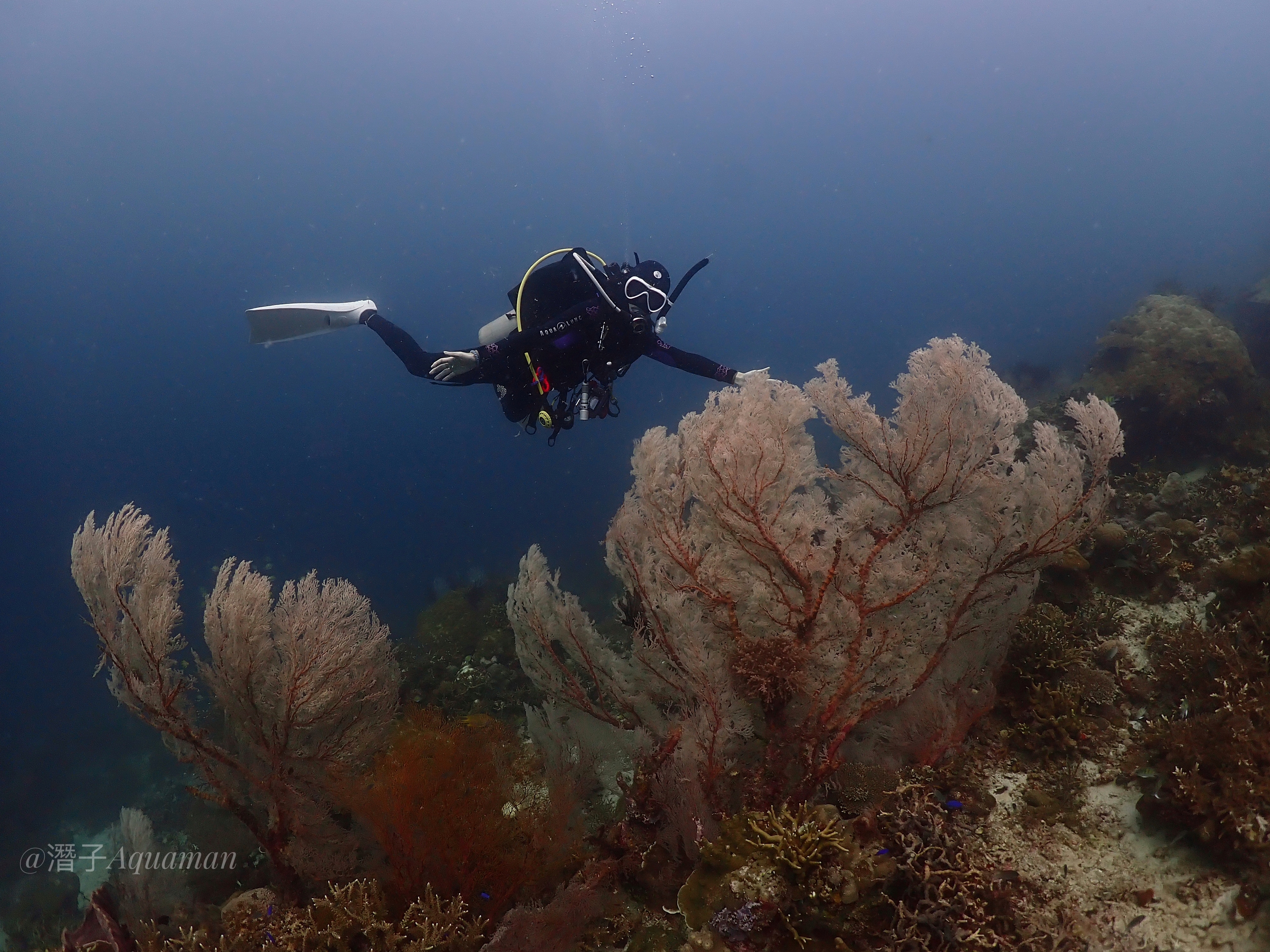 Tabawan Reef Edge